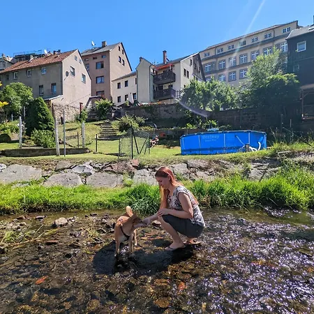 Apartament Urlaubsmagie - Hochgefuehl - Gemeinschaftsgarten, Sauna & Saisonaler Pool - Hw4b